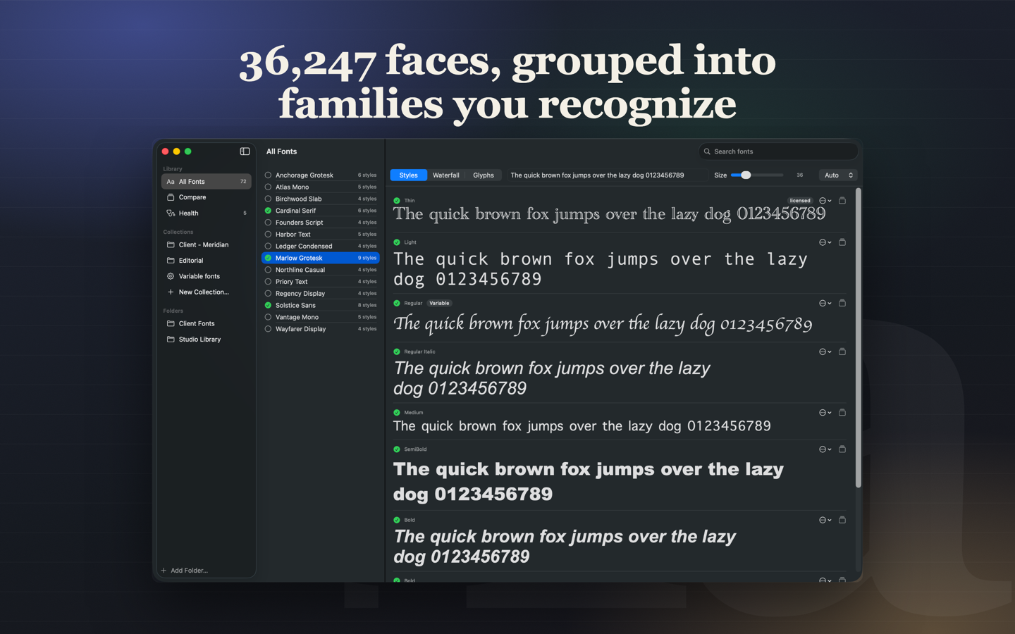 TypeBench window: a 36,247-face library grouped into families, with a live style list